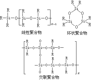 ��ʽ ����