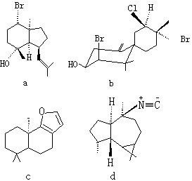 ��ʽ ����