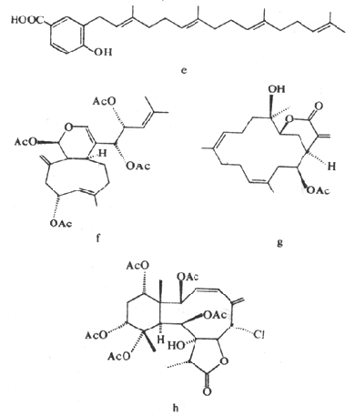 ��ʽ ����