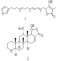 ��ʽ ����