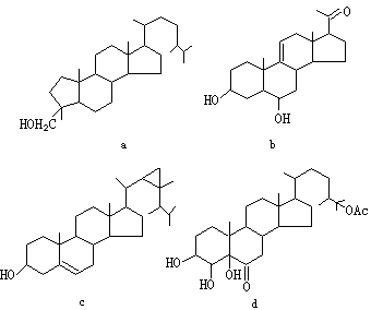 ��ʽ ����