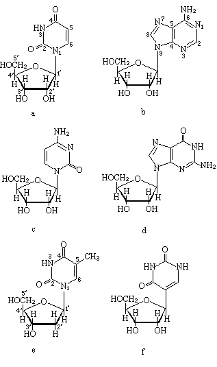 ��ʽ ����