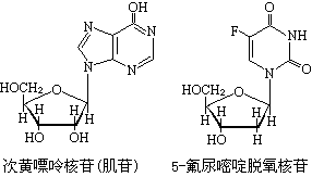 ��ʽ ����