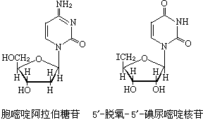 ��ʽ ����