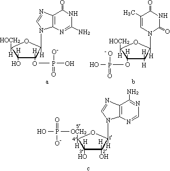 ��ʽ ����