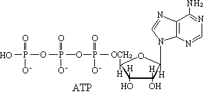 ��ʽ ����