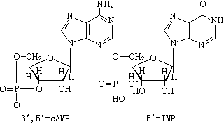 ��ʽ ����