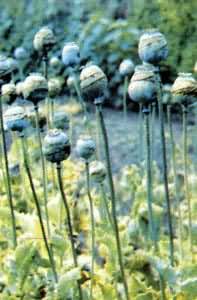 ͼ ��ڡ�����ڹ��п���ȡ��ڼ�