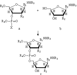 ��ʽ ����