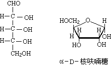 ��ʽ ����