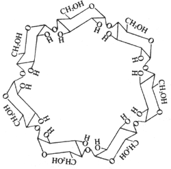 ��ʽ ����