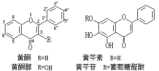 ��ʽ ����