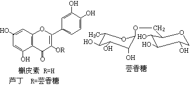 ��ʽ ����