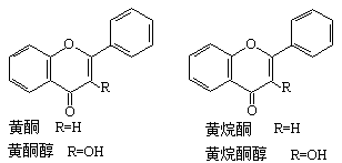 ��ʽ ����