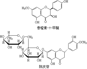 ��ʽ ����