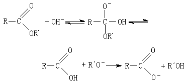 ��ʽ ����