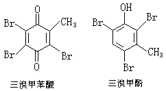 ��ʽ ����