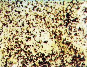 ͼ �����ͷֲ�״̬