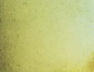 ͼ ����������