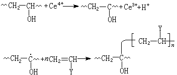 ��ʽ ����