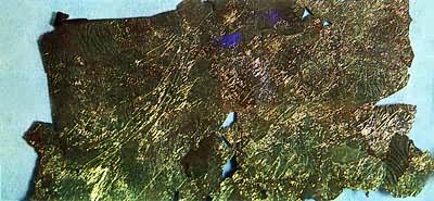 �𲭡������չ�Լ���