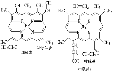 ��ʽ ����