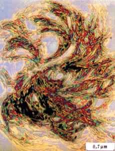 ͼ ˳-1��4-�۶���ϩ�򾧵ĵ羵��Ƭ(-30�棬3���ӽᾧ��ճ��������549000)