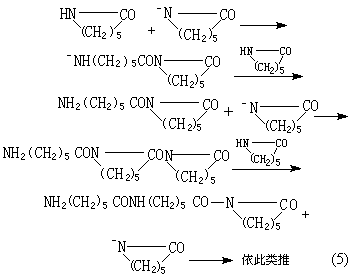 ��ʽ ����