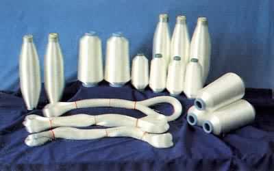 ͼ ��������˿