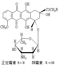 ��ʽ ����