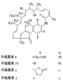 ��ʽ ����