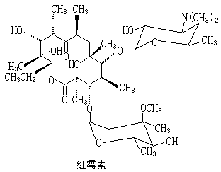 ��ʽ ����