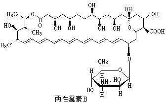 ��ʽ ����