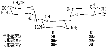 ��ʽ ����