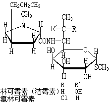 ��ʽ ����