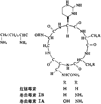 ��ʽ ����