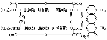 ��ʽ ����