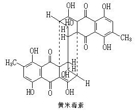 ��ʽ ����