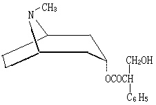 ��ʽ ����