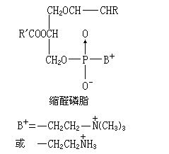 ��ʽ ����