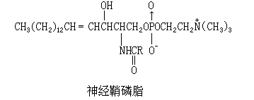 ��ʽ ����