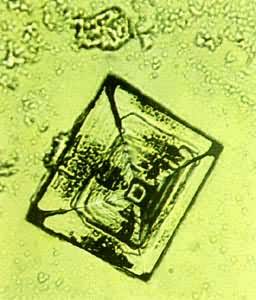 图 氯化钠晶体的外形