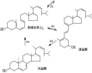 ��ʽ ����