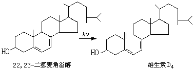 ��ʽ ����