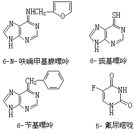 ��ʽ ����