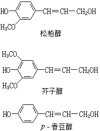 ��ʽ ����