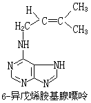 ��ʽ ����