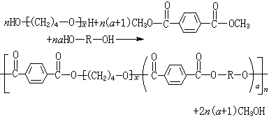 ��ʽ ����