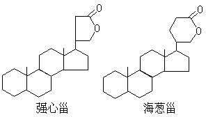 ��ʽ ����