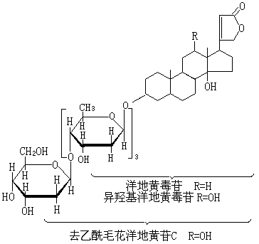 ��ʽ ����